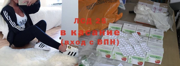 индика Нея