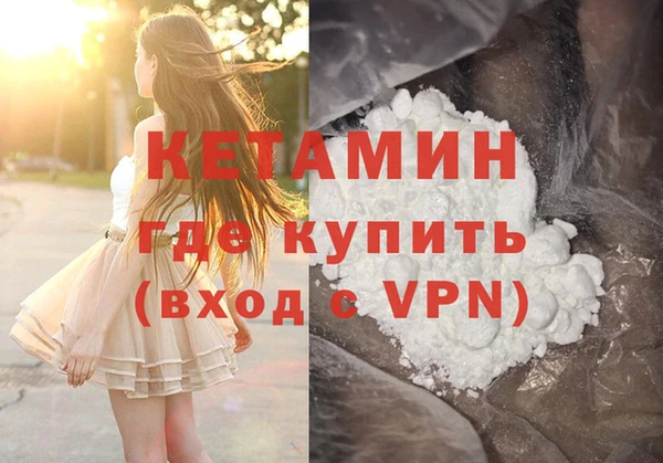 индика Нея