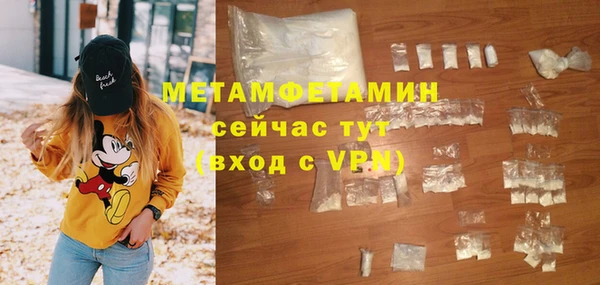 индика Нея