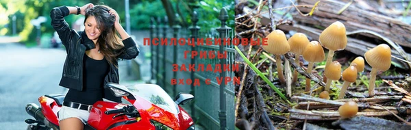 кокаин VHQ Новозыбков