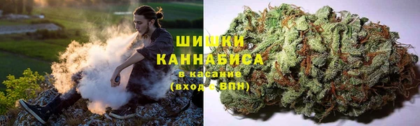 индика Нея