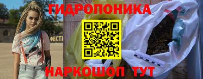 круглые Гусев