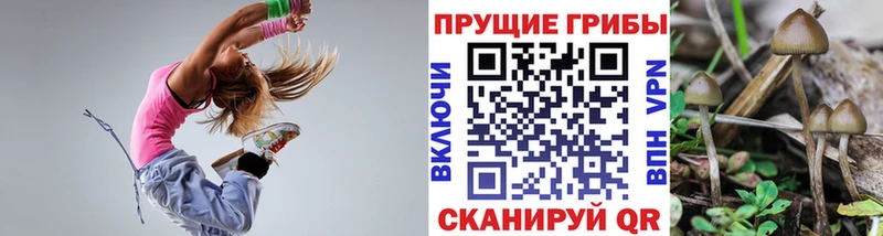 shop какой сайт  Нефтекумск  Псилоцибиновые грибы мицелий 