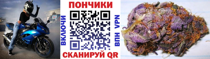 продажа наркотиков  Нефтекумск  Конопля SATIVA & INDICA 